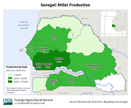 images\SG\cropprod\Senegal_Millet_preview.png